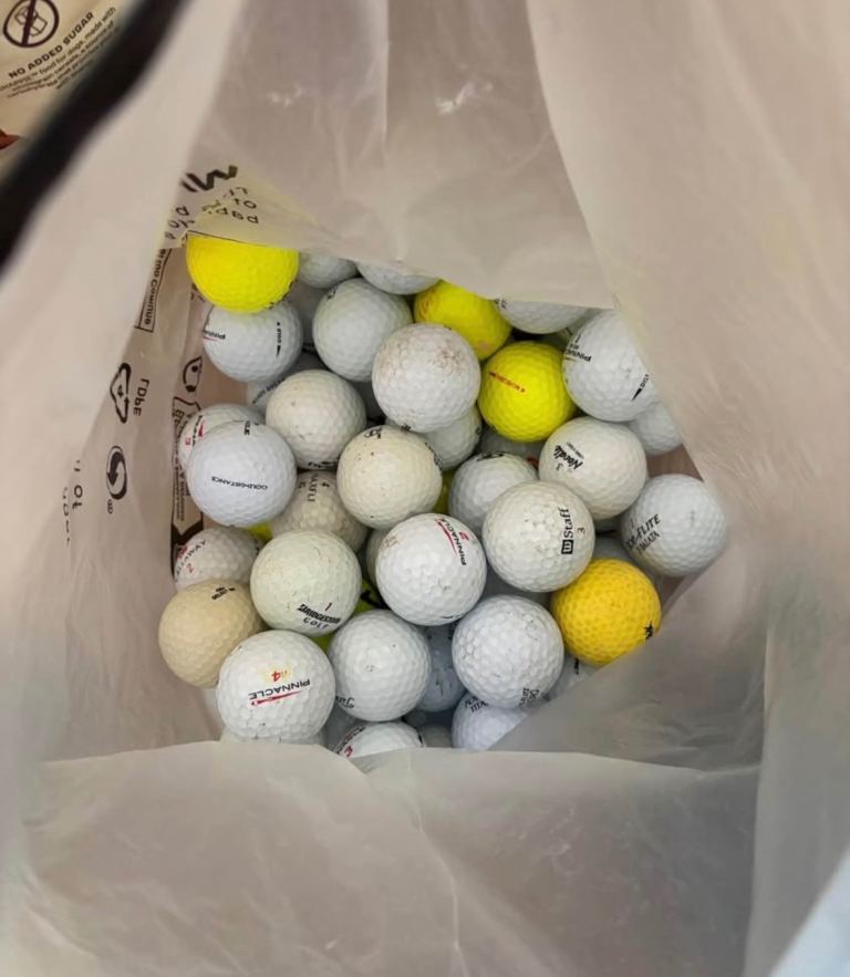 Approx. 50 pond golf balls 