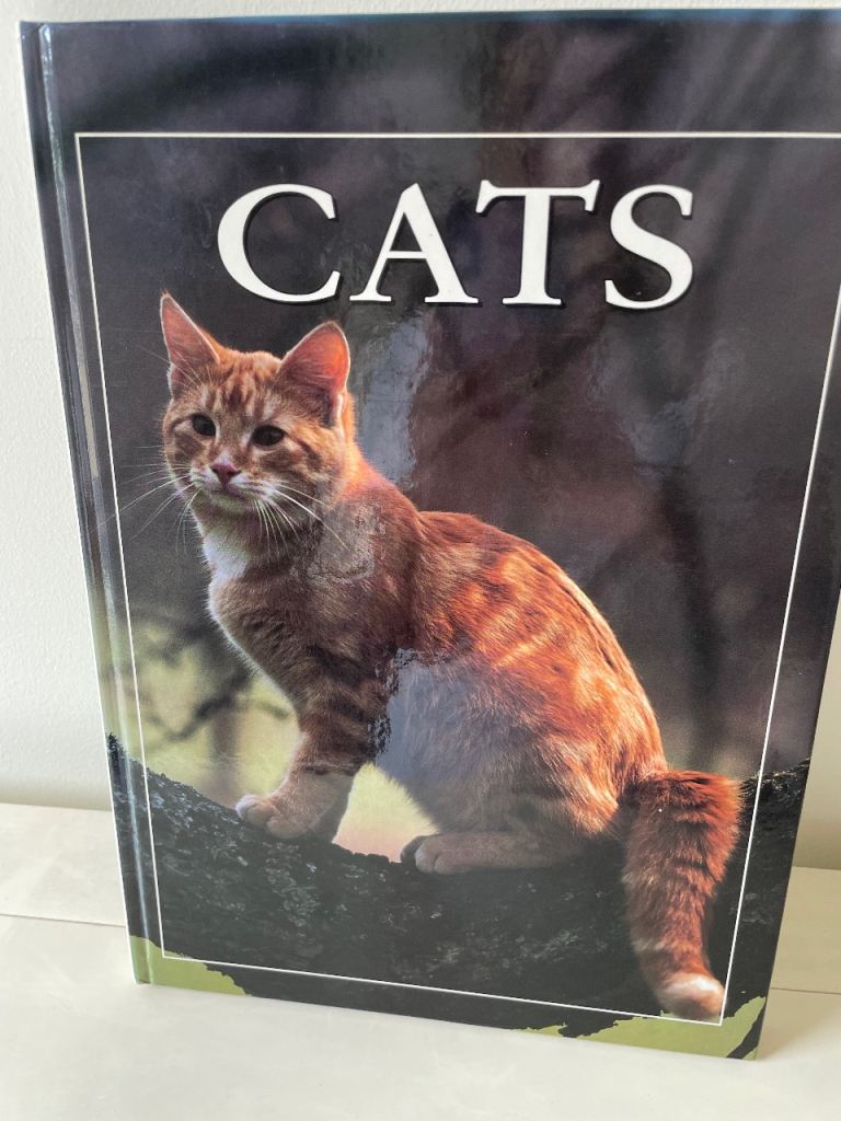 CATS