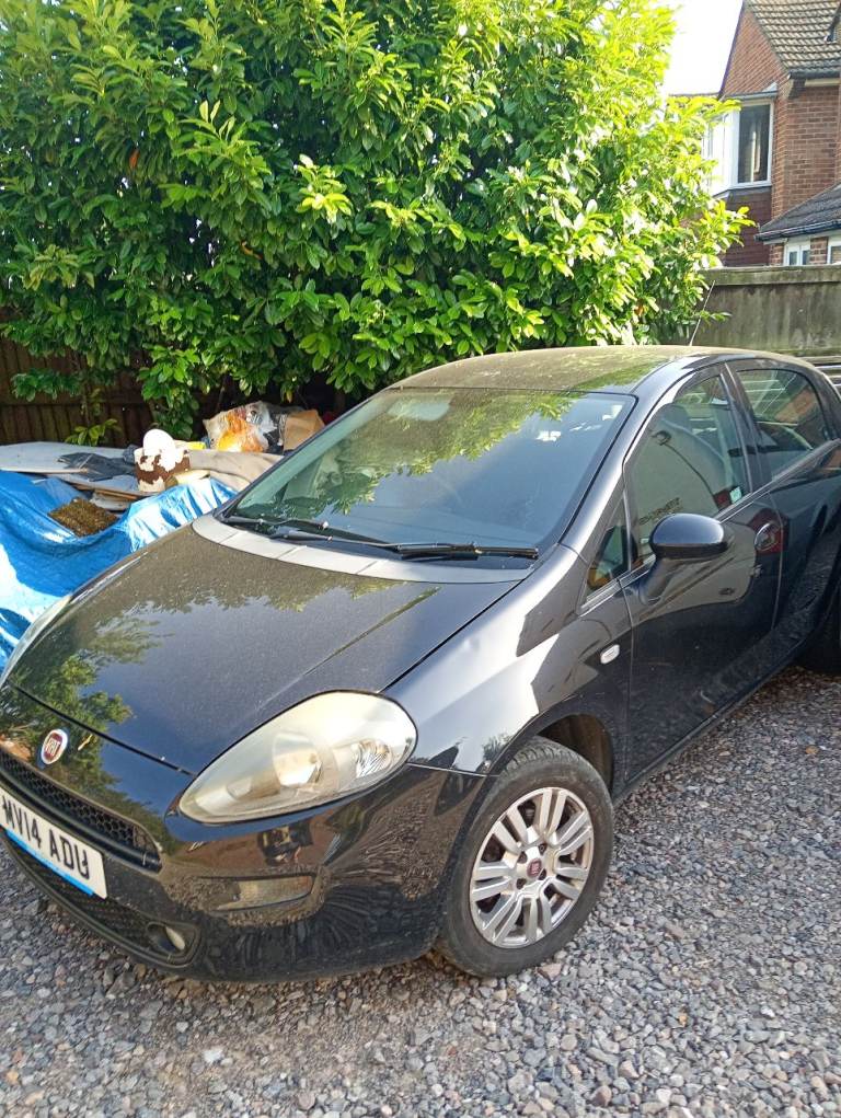 Fiat, PUNTO, Hatchback, 2014, Manual, 1242 (cc), 5 doors