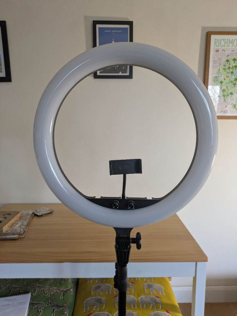 Powerful Godox LR150 ring light and stand