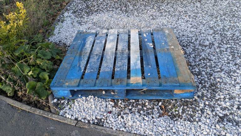Wooden Pallet - free 