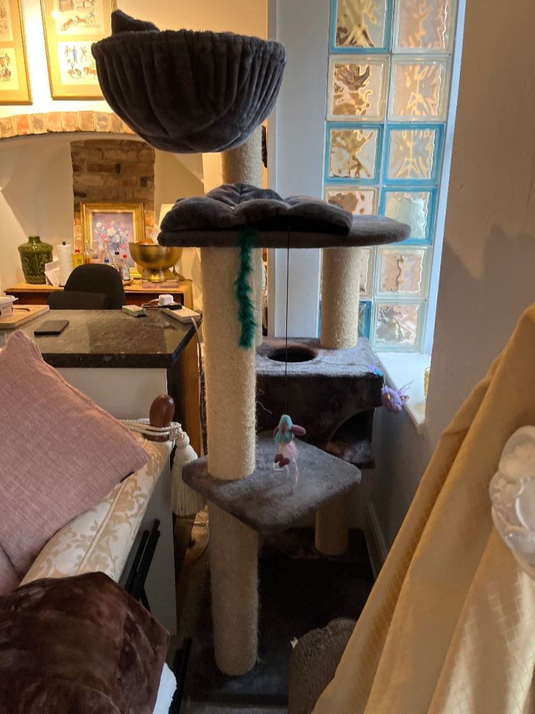 Huge large /multi cat frame 