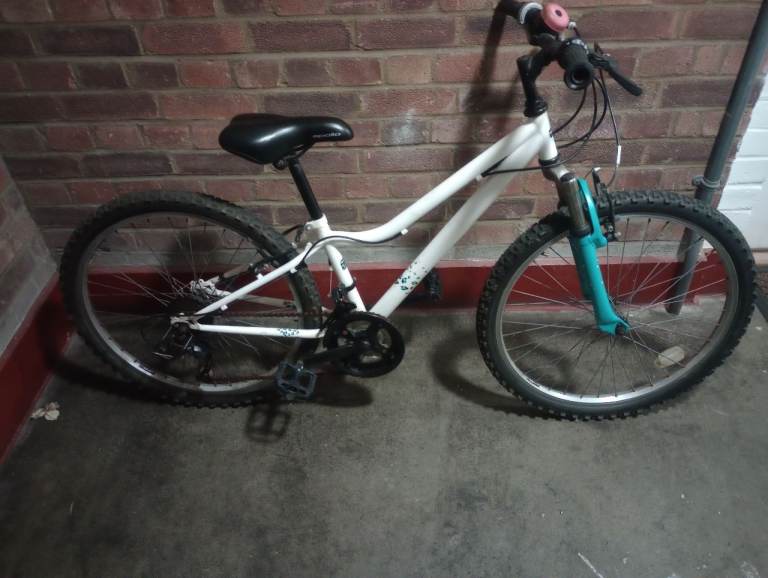 Apollo kids mountain bike