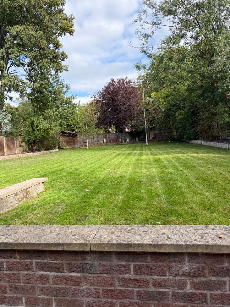 Professional Gardening Services | Hedge Cutting, Grass Cutting & Garden Tidy-Ups