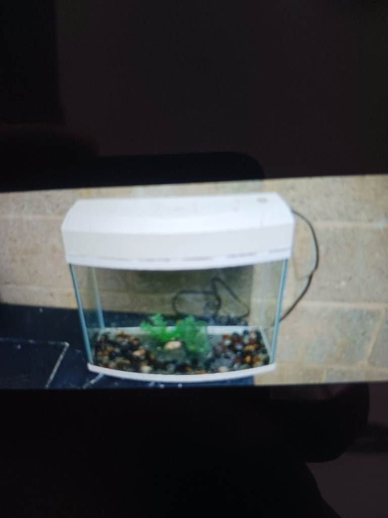 Fish tank 