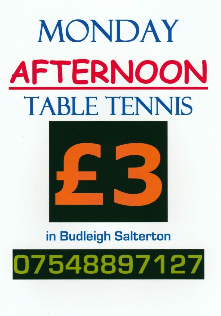 Enjoy a lighthearted game of Table Tennis in the afternoon