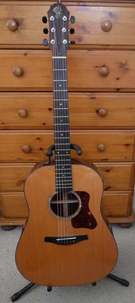 Patrick James Eggle Kanuga Acoustic Guitar