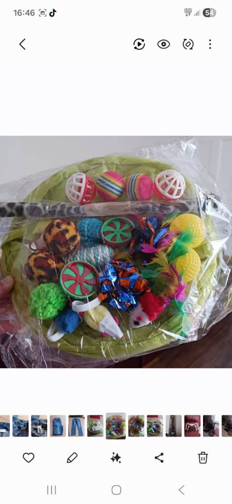 Cat toy bundle with tunnel and wand 