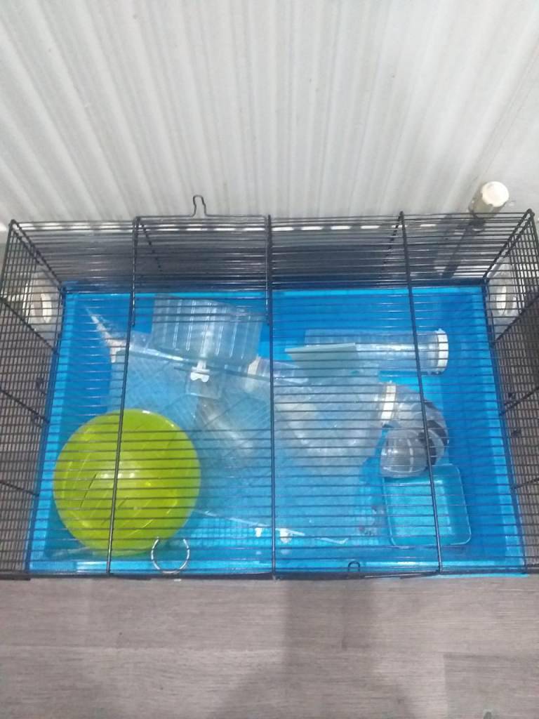 Hamster cage 