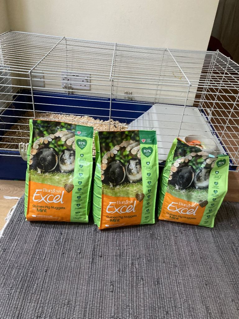Guinea pig food, Guinea pig cage