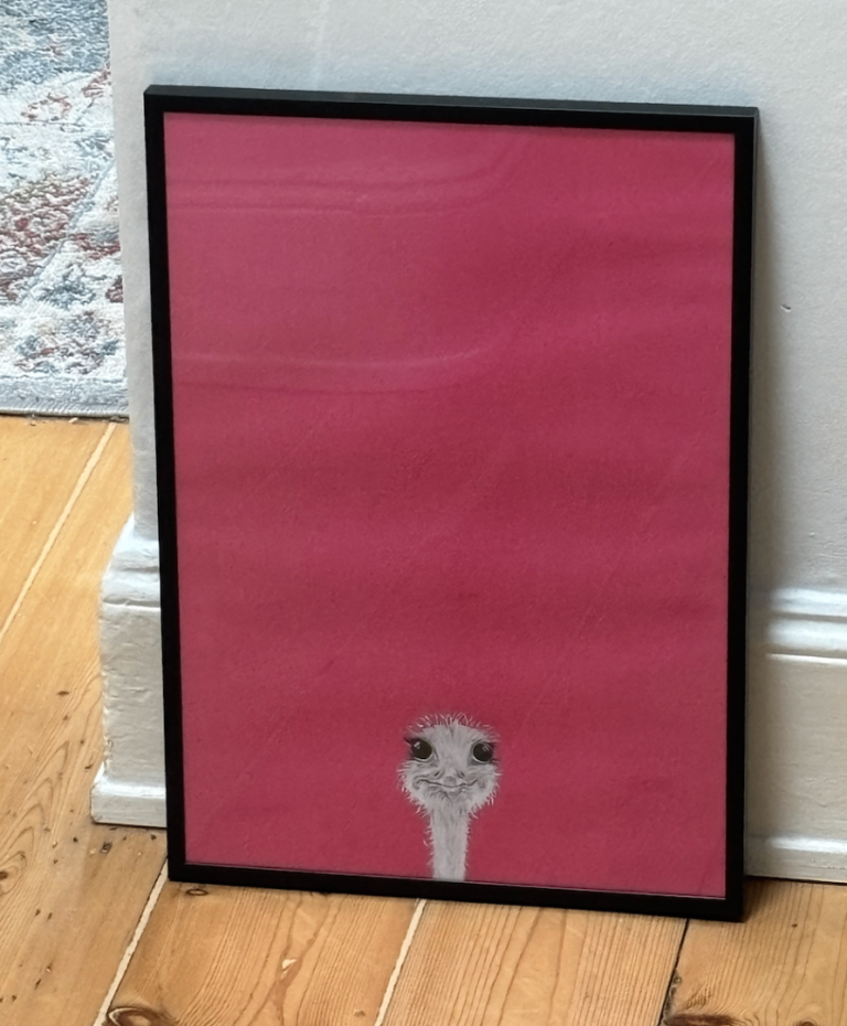 Framed pink background print with cute ostrich head.