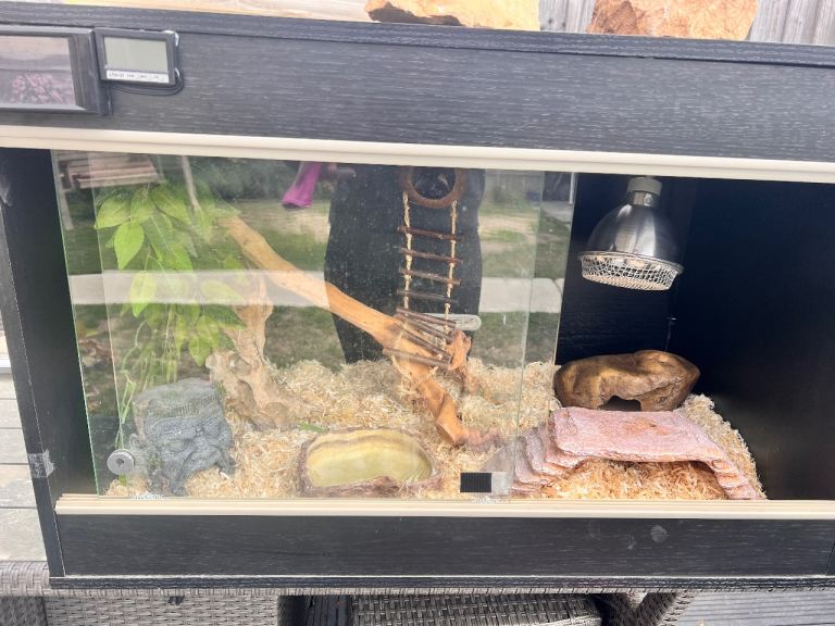 Vivarium with lots of accessories