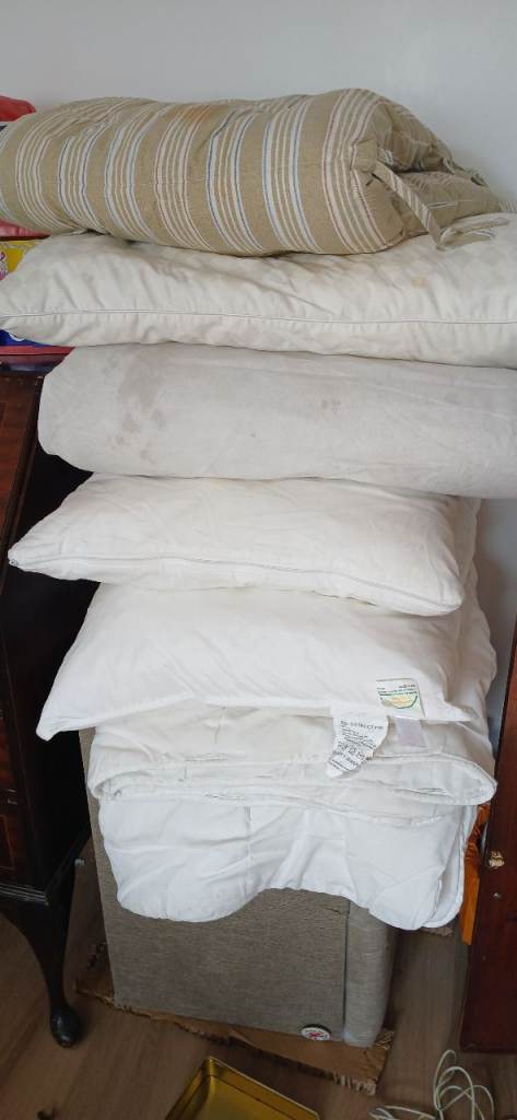  free pillows cushions