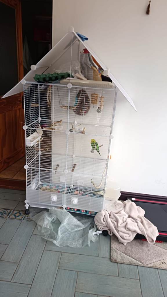 Birds cage ( parrots cage)