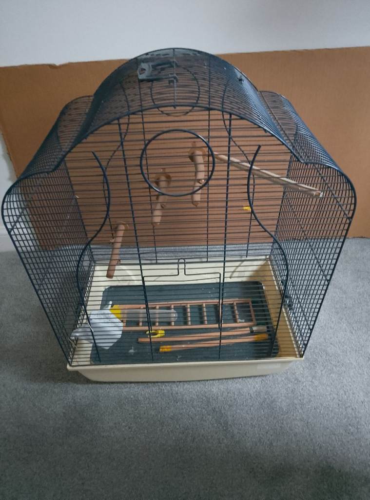 Bird cage 