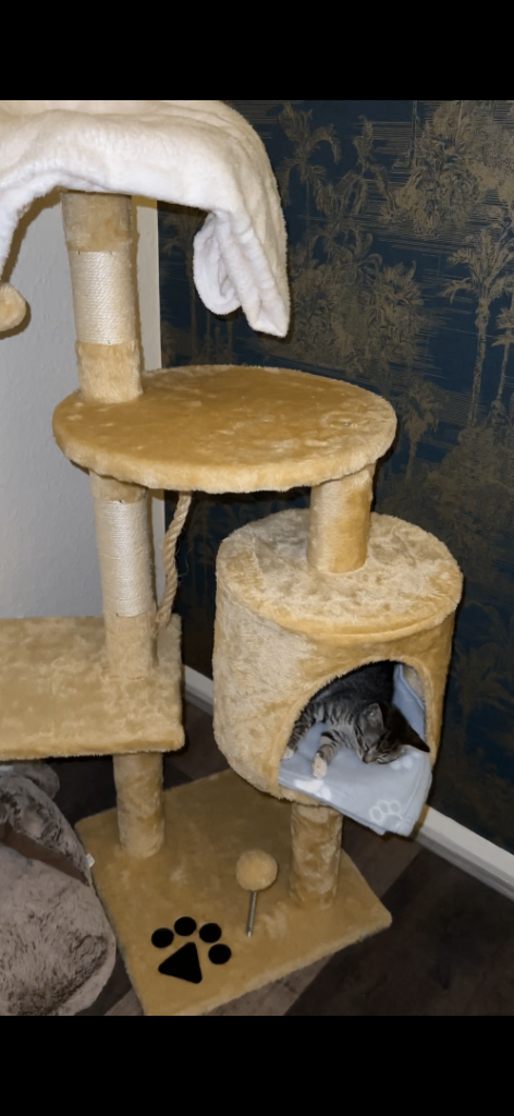 Cat tower 