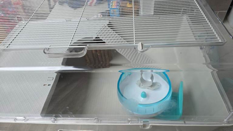 Hamster Cage