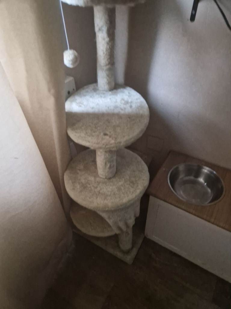 Cat tree