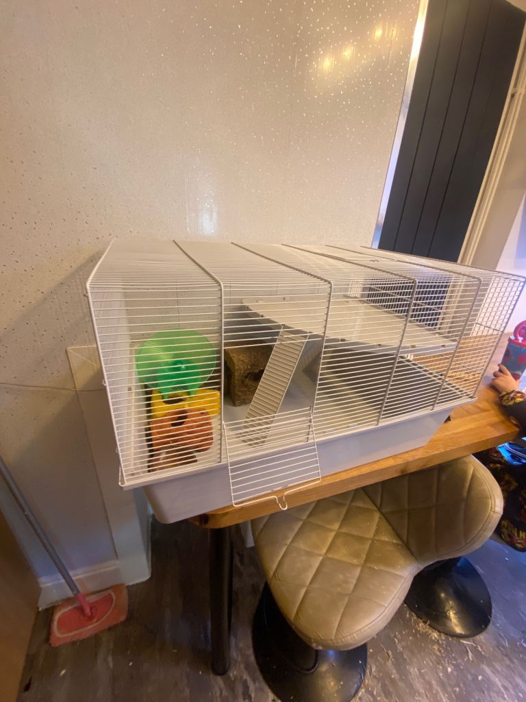Hamster cage and accessories 