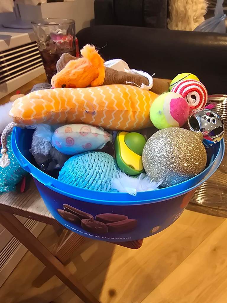 Mixed bag of cat toys 