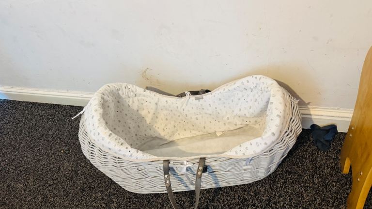 Baby moses basket