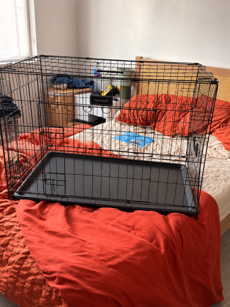 Dog cage for free 