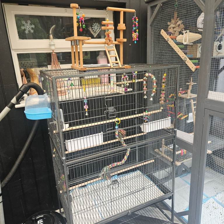 Big brand new bird cage with play stand and brand new toys 