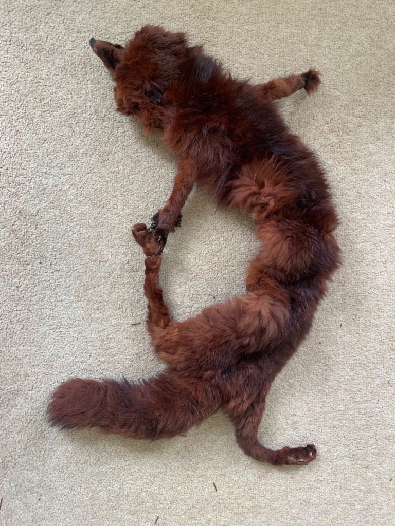 Vintage real Fox Fur stole