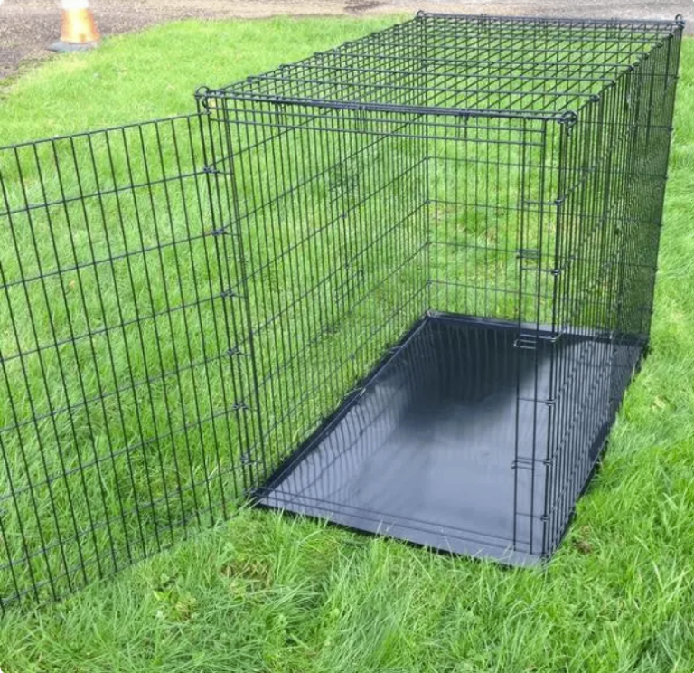 Large Dog Crate for XL dog