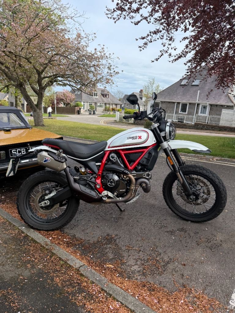 Ducati, SCRAMBLER, 2019, 803 (cc)