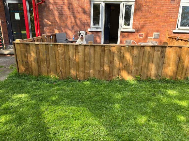 Wooden Garden Fencing Panels - Good Condition