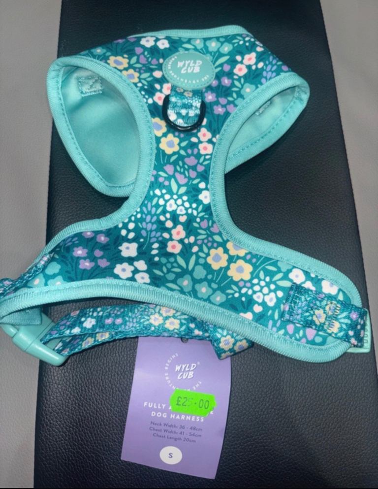 Dog Harness - Small - Green