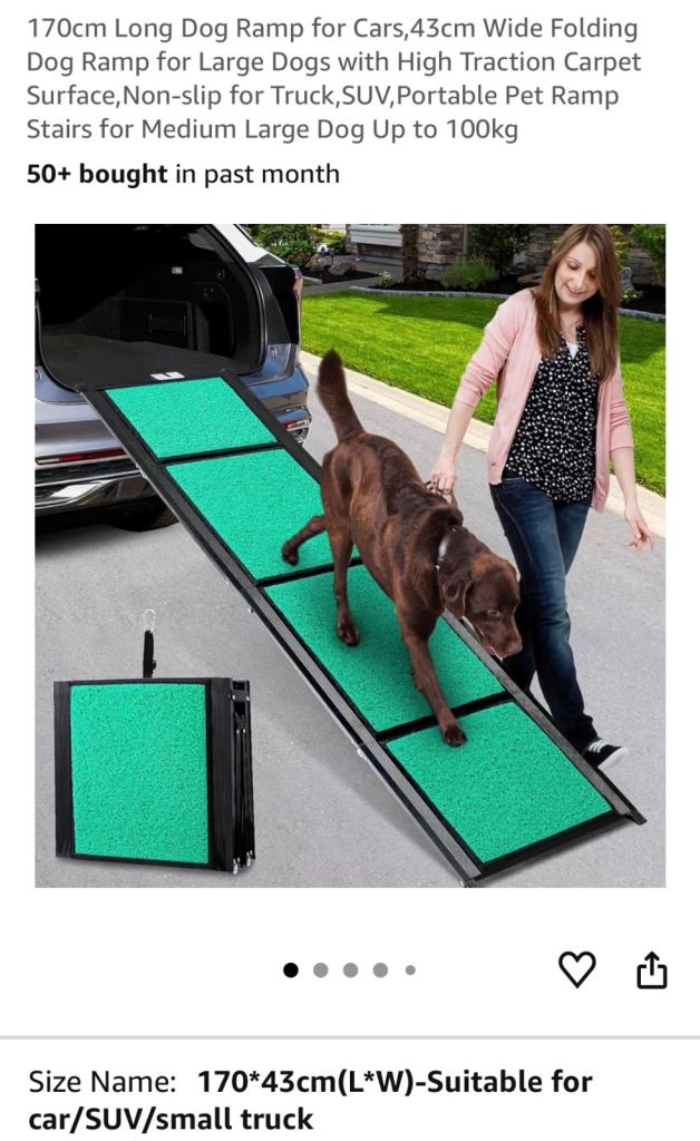 Large Dog Ramp 170cm long 43cm wide