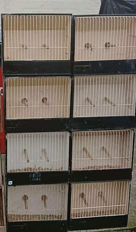 Show cages