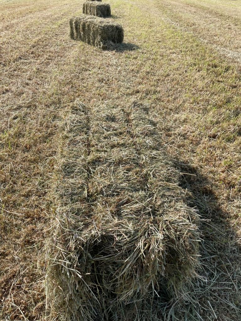 Small bales off hay