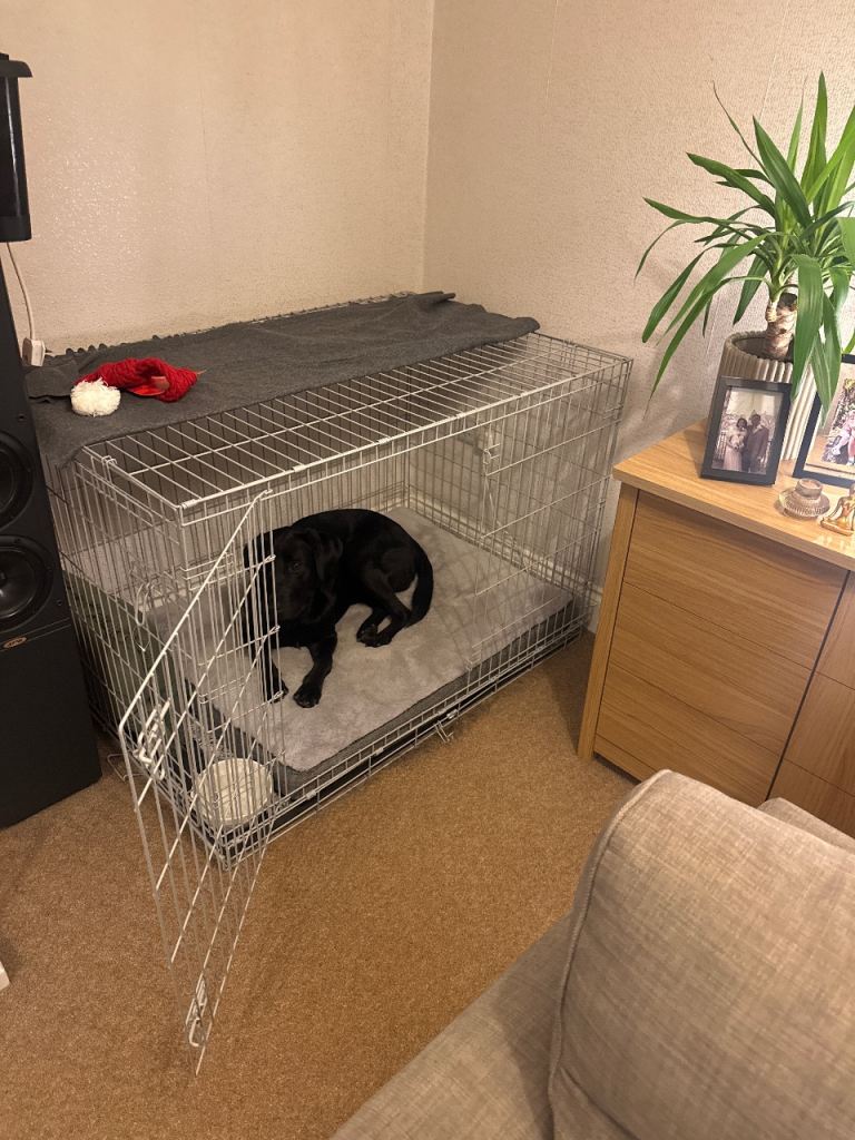 Extra large dog crate 