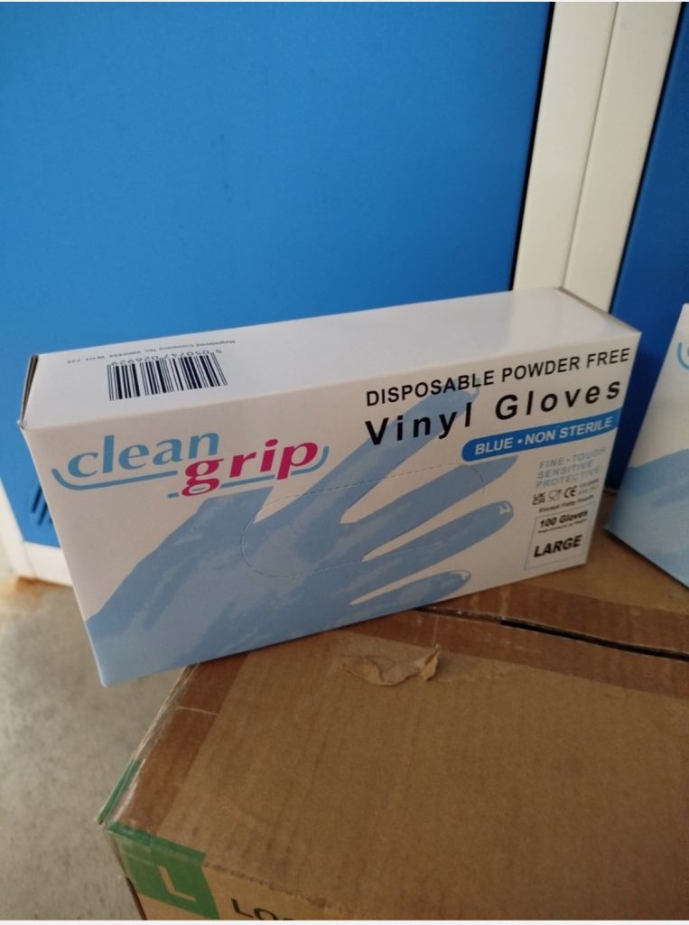 Disposable Gloves Vinyl Powder Free Large Blue [Pack 100]