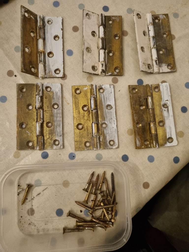 Brass Door Hinges with Screws – Fair Condition