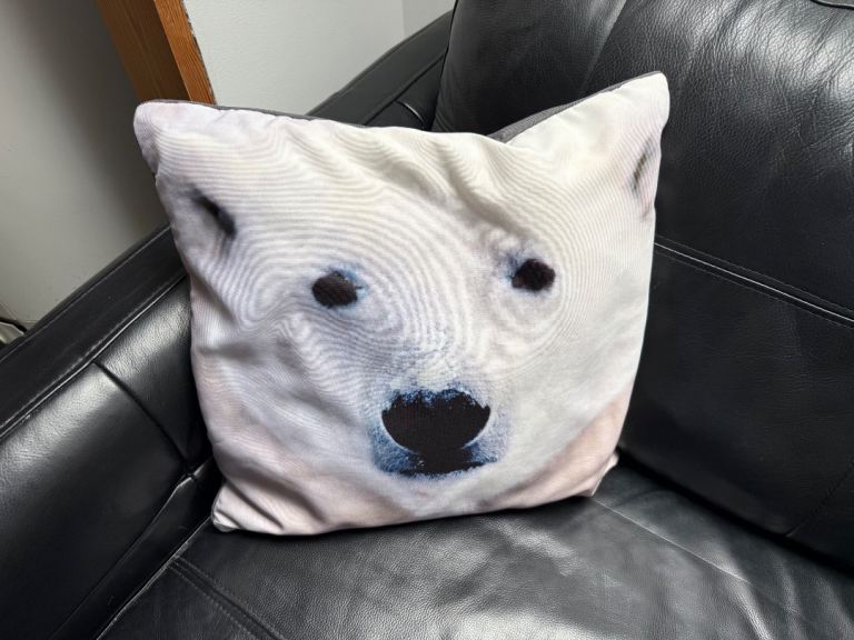 2 Fun Polar Bear Cushions - Great Condition