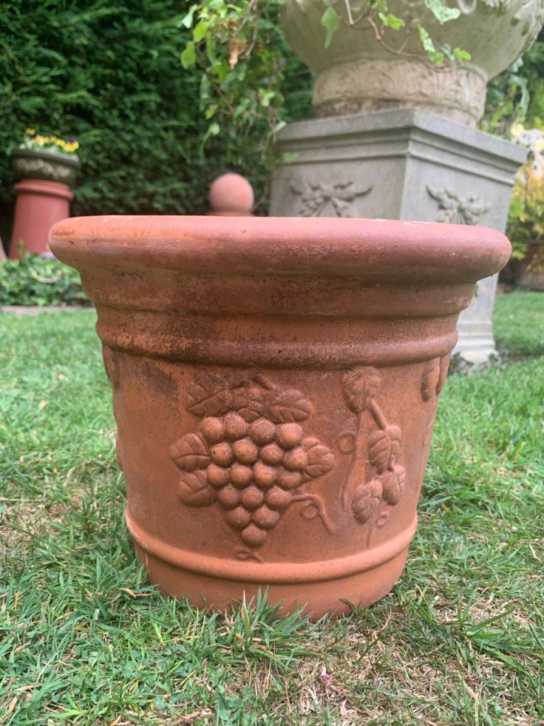 Charming terracotta plant pot…grapes & vines design