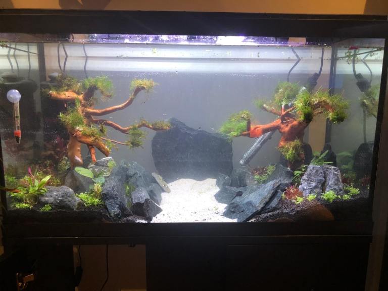 Fish Tank 110 Litre Aquarium Complete Setup W/ EHEIM Filter, Stand, Heater, LED