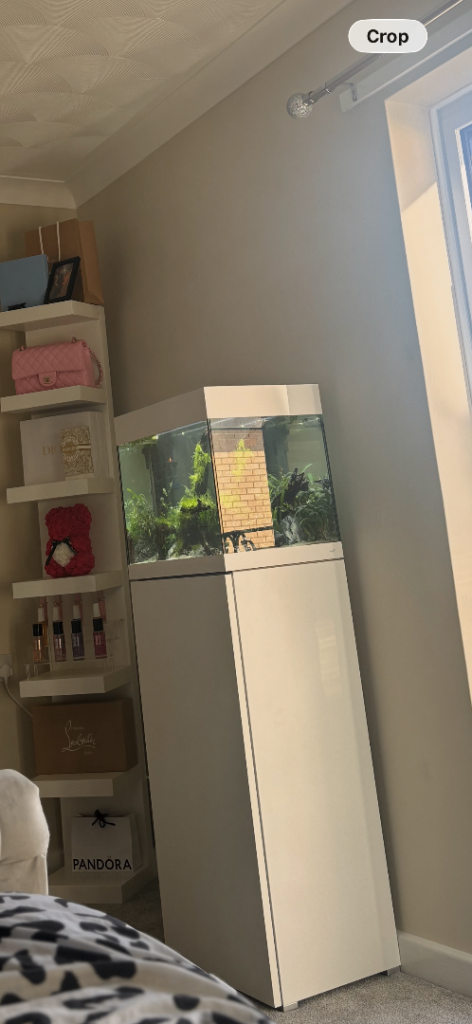 Aquarium Fish Tank EVERYTHING INCLUDED