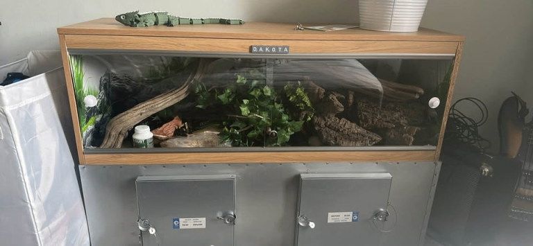 115cmx40cmx40cm vivarium plus metal cabinet stand