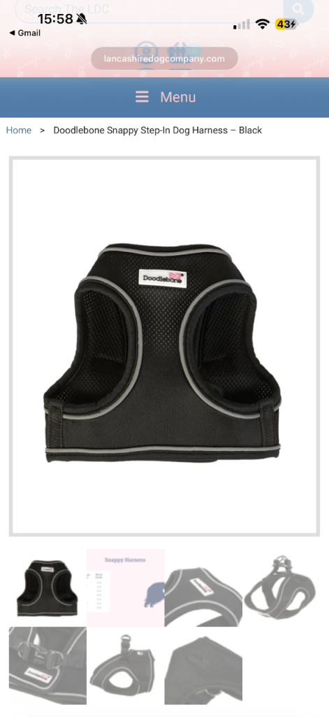 Dog step in harness