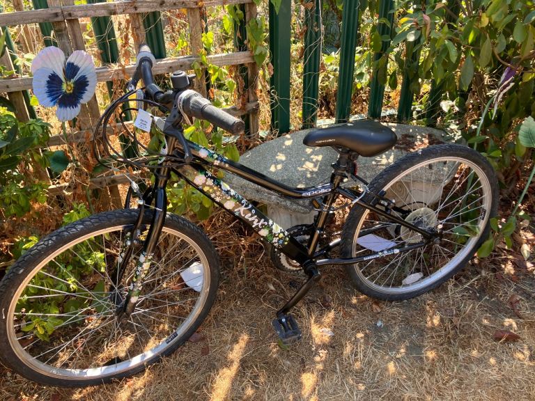Apollo kinx 21” child’s bicycle 