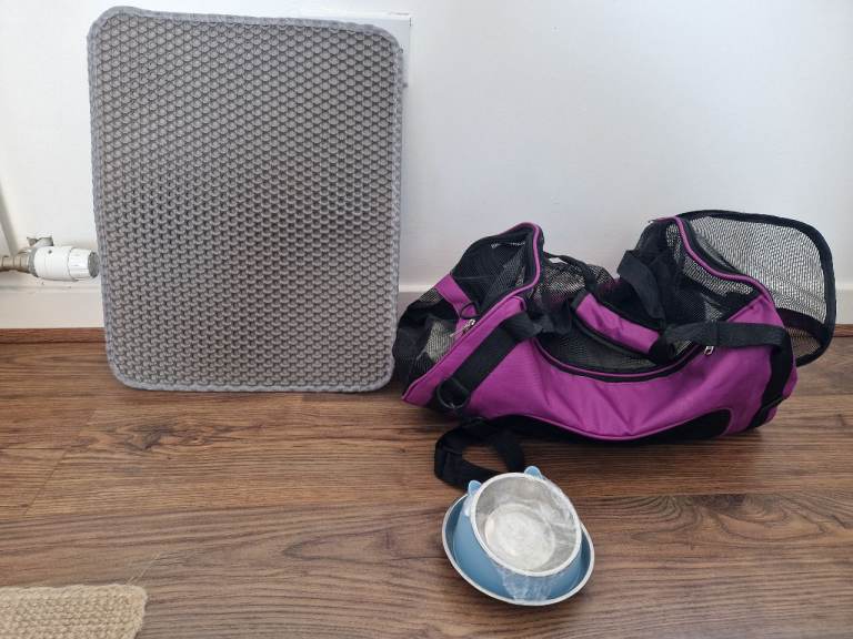 Free soft cat carrier, litter mat and feeding bowls