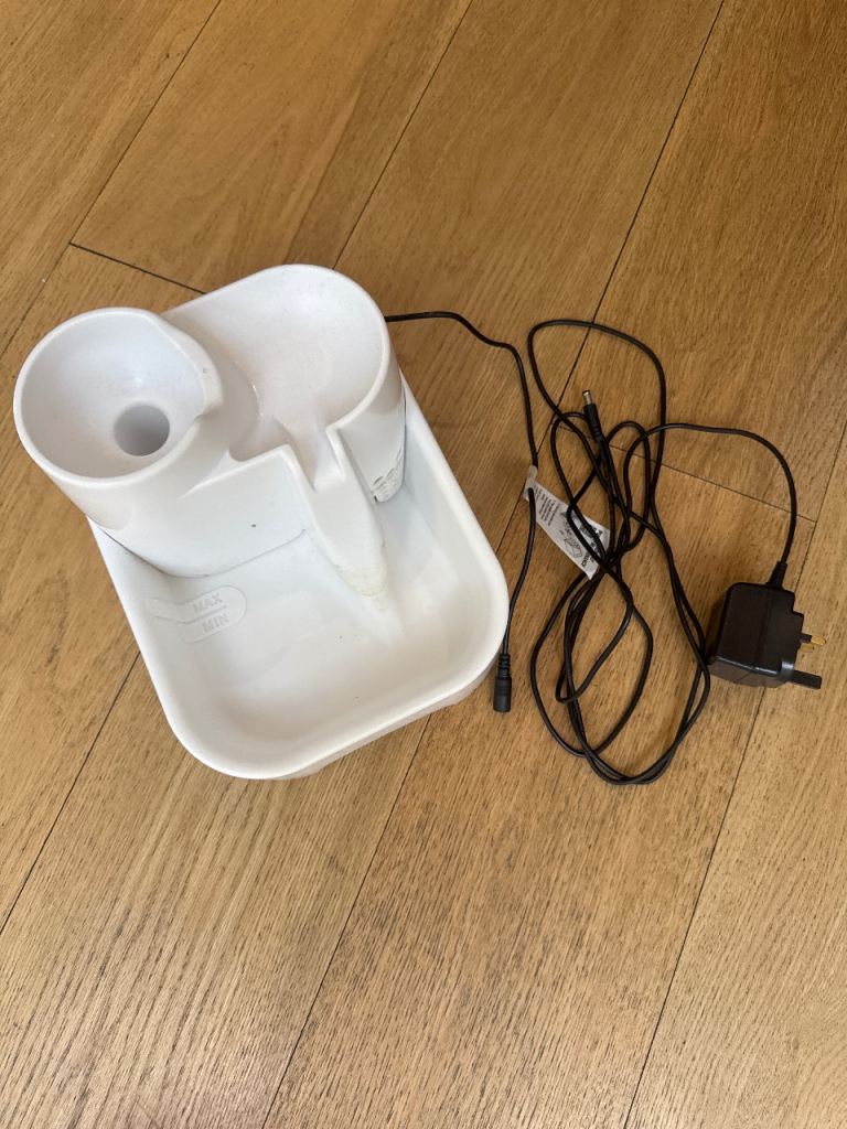 Cat fountain 