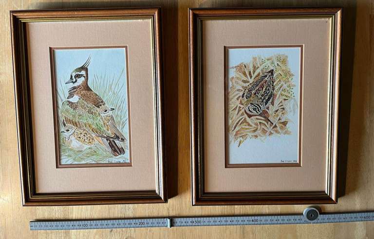 image for Signed Framed Watercolours - Lapwing with Chicks and A Snipe - Bob Clyde 92