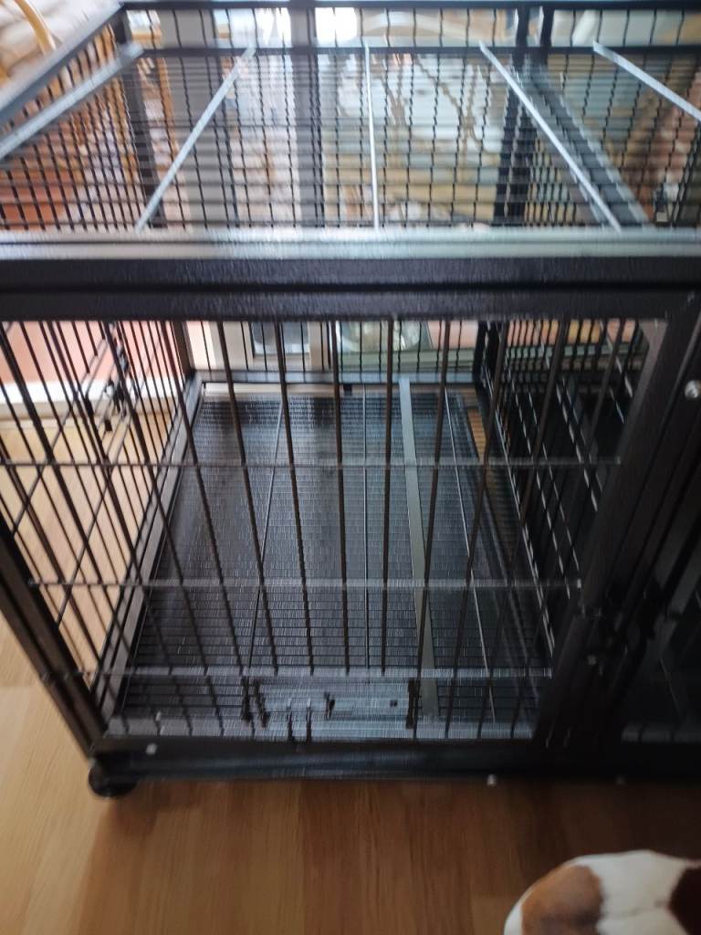 Double dog crate 