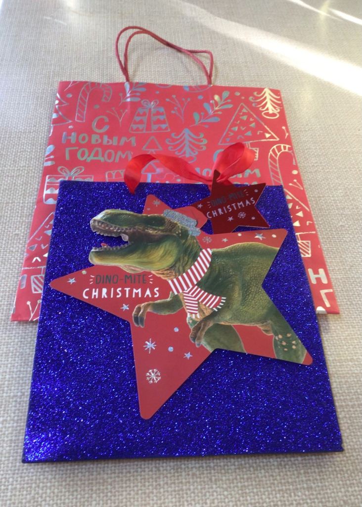 2X Christmas Gift Bags or Free with Item